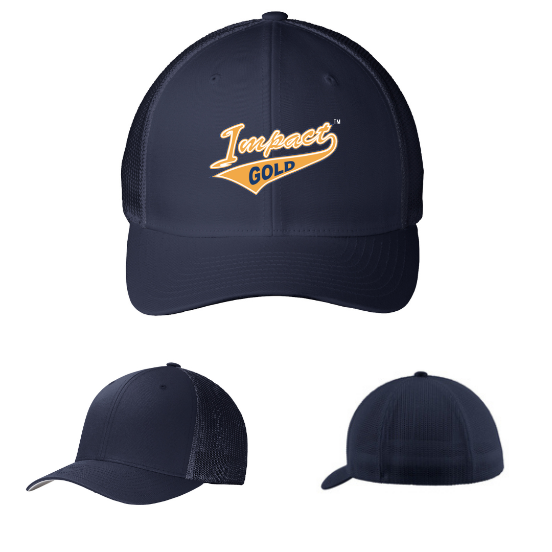 Flexfit 2024 navy hat
