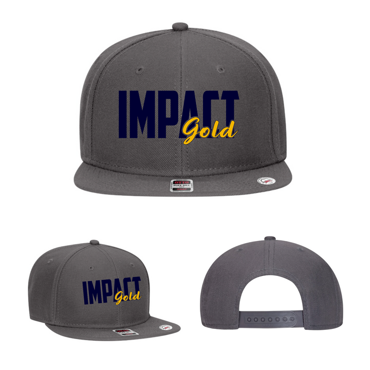 ALL Charcoal Mid-Profile Snapback | 2 LOGOS