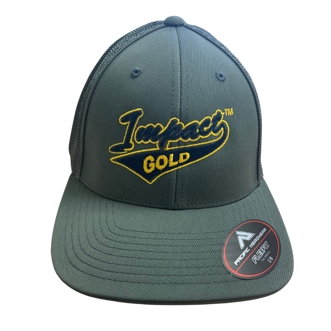 ALL GRAPHITE Impact Gold Tail | Mesh Hat