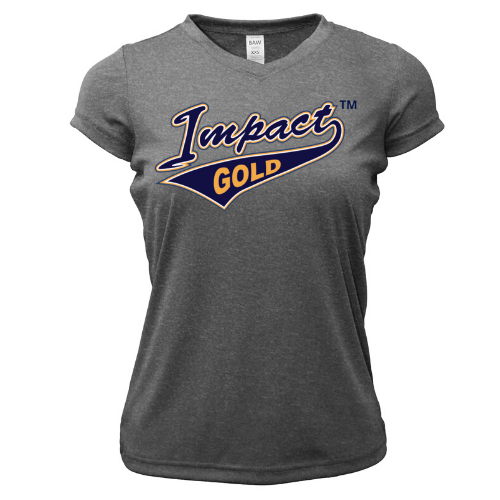 Grey Ladies V-Neck Short Sleeve Dri-Fit