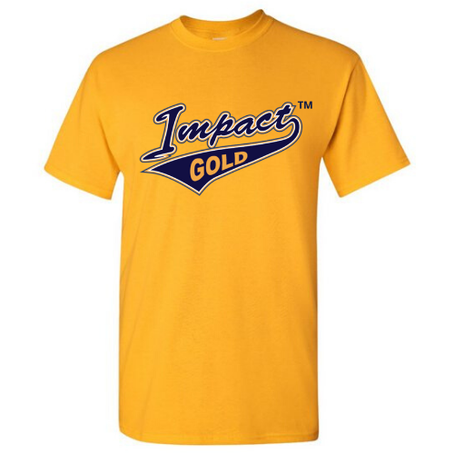Gold Men's Traditional Comfort T-Shirt